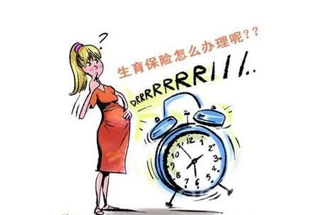 生育保險報銷流程 第1張 生育保險報銷流程 第1張