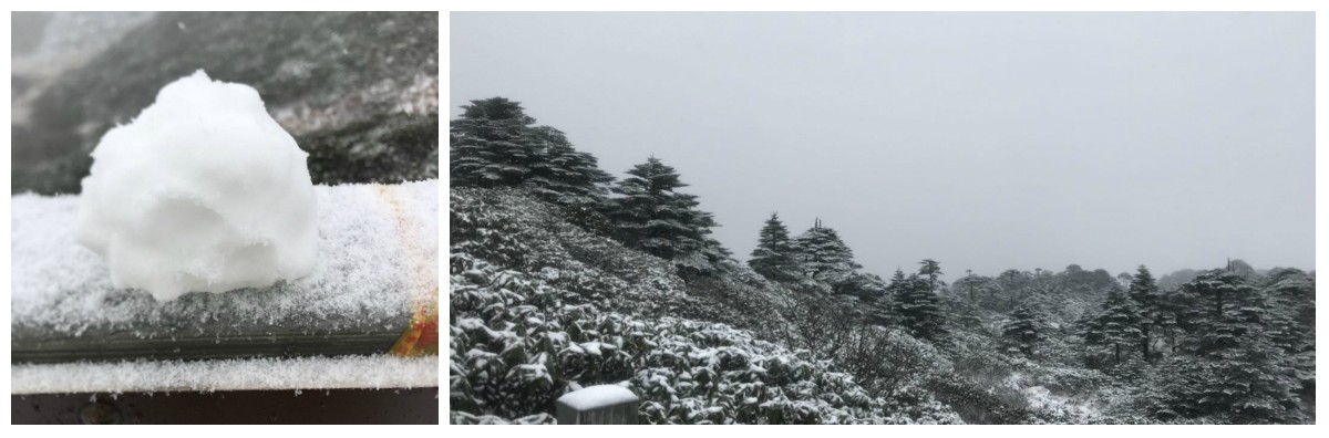 風花雪月瑞方情,萬水千山大理行 第6張 風花雪月瑞方情,萬水千山大理行 第6張