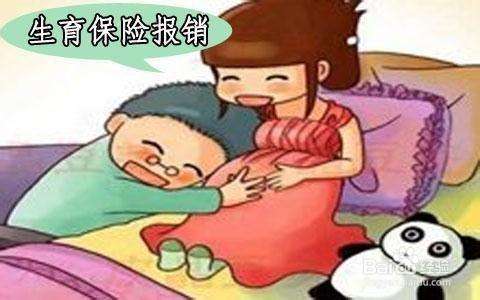 生育保險政策 第1張 生育保險政策 第1張