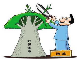 個人繳納社保和公司繳納的社保有何不同？ 第1張