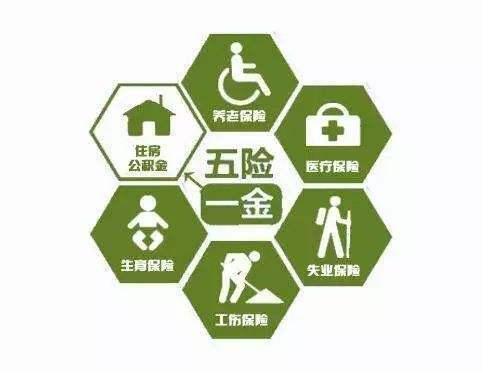 公司給員工繳納五險(xiǎn)一金是按照什么比例繳納的？ 第1張