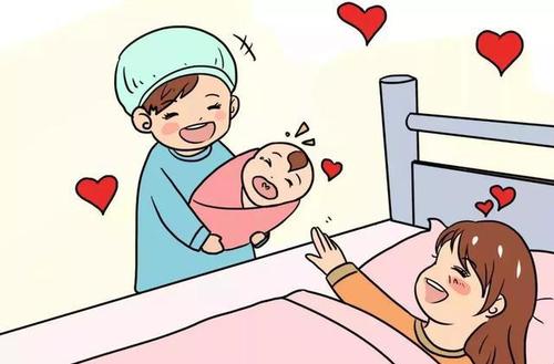 生育保險如何繳？怎么報？ 第1張