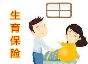職工參加生育保險可以享受哪些待遇？ 第1張